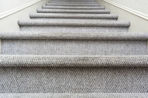 what is meant by carpet area